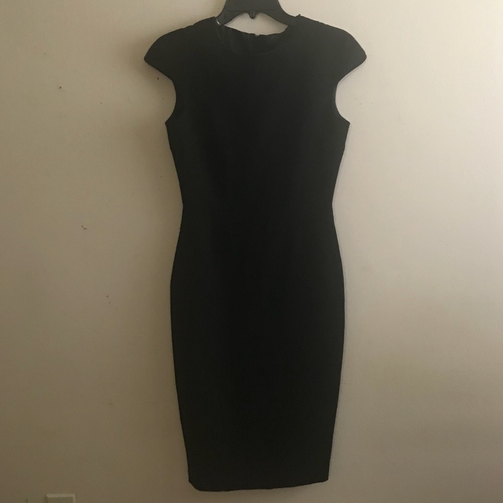 Zara Pencil Skirt Dress Zipper Back
